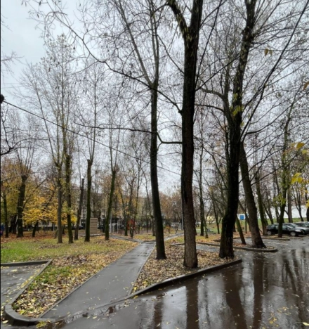 Купить квартиру в Москве. Вариант № 8541907, 16, площадь -  квм, цена 23500000 рублей