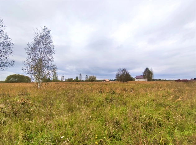 Купить земельный участок в Гусь-Хрустальном. Вариант № 3325, 3, площадь -  квм, цена 230000 рублей