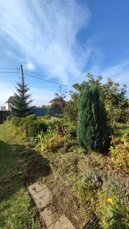 Купить дом в Зеленоградске. Вариант № 1362, 25, площадь -  квм, цена 11500000 рублей