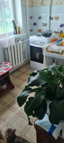 Купить трехкомнатную квартиру в районе Калининский в Новосибирске. Вариант № 46798, 6, площадь -  квм, цена 4400000 рублей