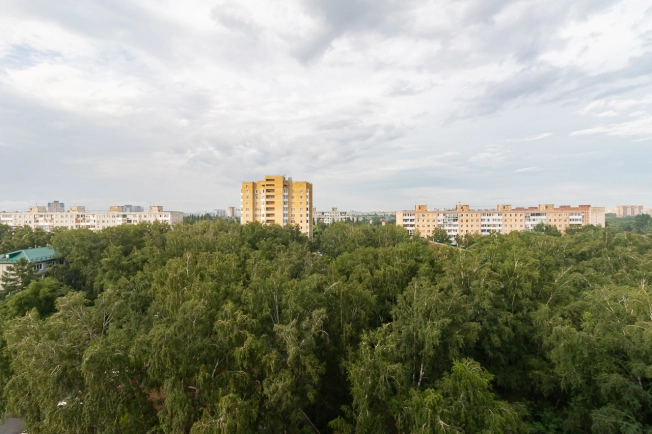 Купить двухкомнатную квартиру на улице Лукашевича в Омске. Вариант № 9127, 8, площадь -  квм, цена 10500000 рублей