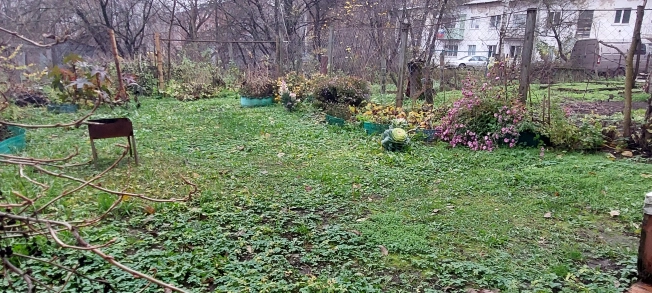 Купить двухкомнатную квартиру на улице Белоконской в Владимире. Вариант № 9177045, 17, площадь -  квм, цена 3890000 рублей