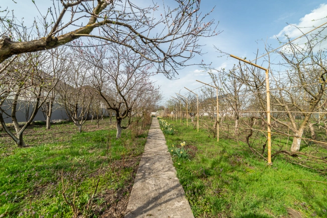 Купить земельный участок в Краснодаре. Вариант № 27902, 0, площадь -  квм, цена 3990000 рублей