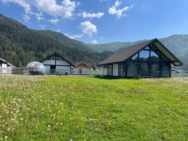 Купить дом на улице Садовая в Алтайском крае. Вариант № 44638, 3, площадь -  квм, цена 13900000 рублей