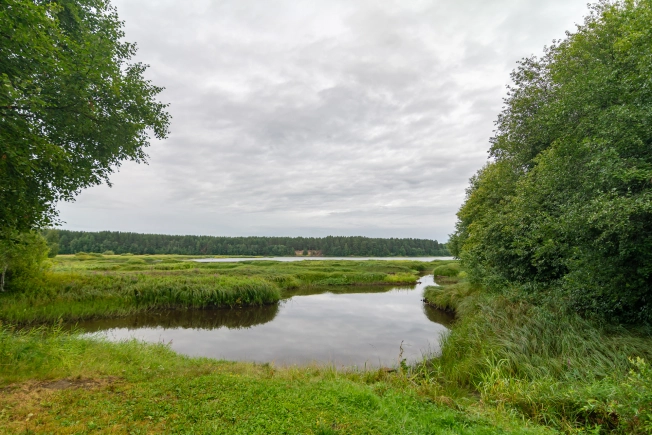 Купить дачу в Республике Карелия. Вариант № 1806412, 47, площадь -  квм, цена 5149000 рублей