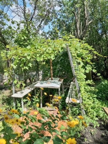 Купить дачу в Белгородской области. Вариант № 21107, 12, площадь -  квм, цена 700000 рублей