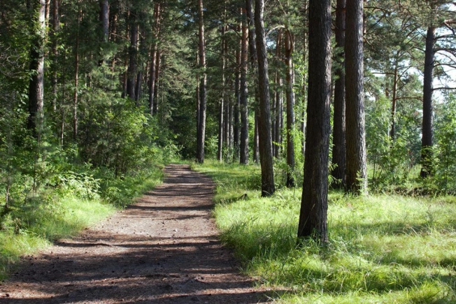 Купить четырехкомнатную квартиру в Новосибирской области. Вариант № 3087385, 25, площадь -  квм, цена 16990000 рублей