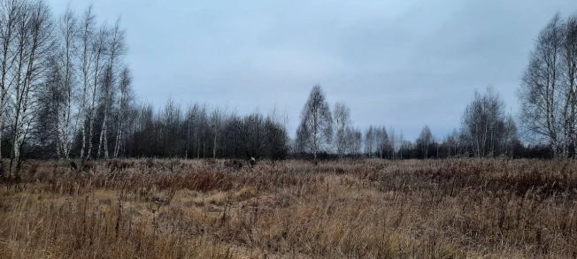 Купить земельный участок в Рязанской области. Вариант № 10609018, 4, площадь - квм, цена 570000 рублей