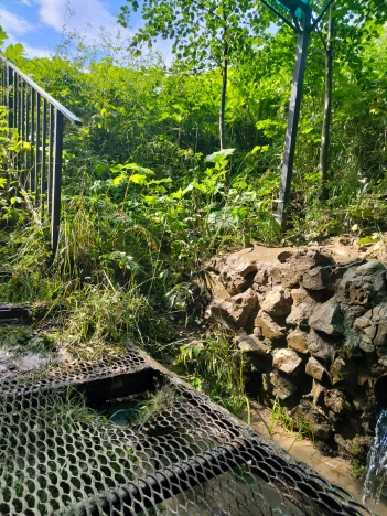 Купить земельный участок в Калуге. Вариант № 1168291, 15, площадь -  квм, цена 990000 рублей