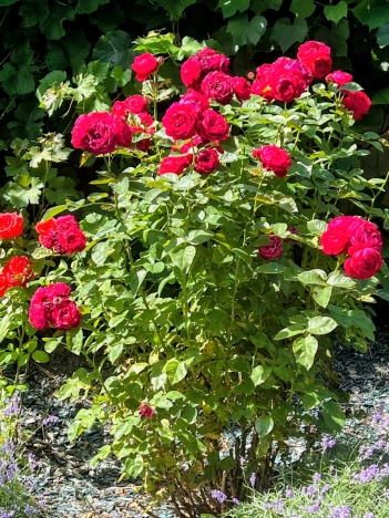 Купить дом в Москве. Вариант № 8807704, 30, площадь - квм, цена 15600000 рублей