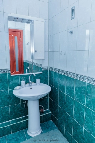 Купить дом на улице Революции в Искитиме. Вариант № 44743, 7, площадь -  квм, цена 17200000 рублей