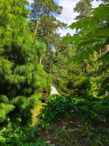 Купить квартиру на улице Кирова в Новосибирске. Вариант № 43747, 39, площадь -  квм, цена 10050000 рублей