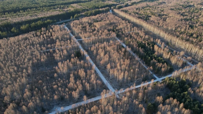 Купить земельный участок на улице Светлая в Рязанской области. Вариант № 9202, 20, площадь -  квм, цена 550000 рублей