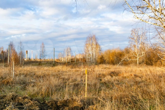 Купить земельный участок в Новосибирске. Вариант № 21485, 1, площадь -  квм, цена 2250000 рублей