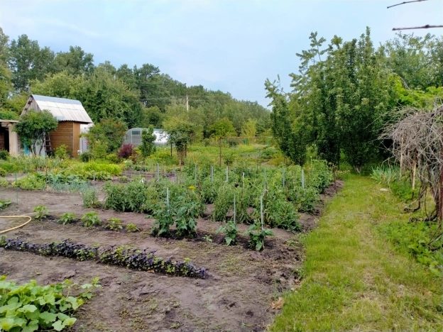 Купить земельный участок в Воронеже. Вариант № 10992, 2, площадь -  квм, цена 1500000 рублей