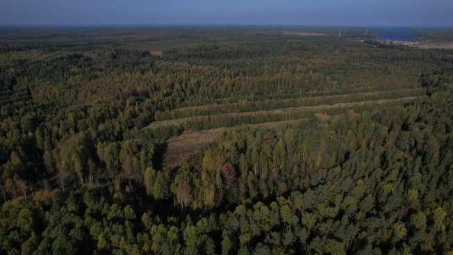 Купить земельный участок в Республике Карелия. Вариант № 13851, 26, площадь -  квм, цена 6000000 рублей