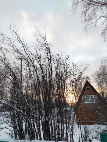 Купить земельный участок в Искитиме. Вариант № 9317876, 10, площадь -  квм, цена 800000 рублей