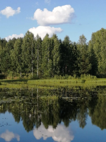 Купить однокомнатную квартиру на вторичке на улице Новая в Владимирской области. Вариант № 5532904, 15, площадь -  квм, цена 540000 рублей