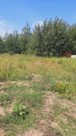 Купить земельный участок в Воронеже. Вариант № 273992, 9, площадь -  квм, цена 4200000 рублей