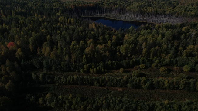 Купить земельный участок в Республике Карелия. Вариант № 13851, 16, площадь -  квм, цена 6000000 рублей