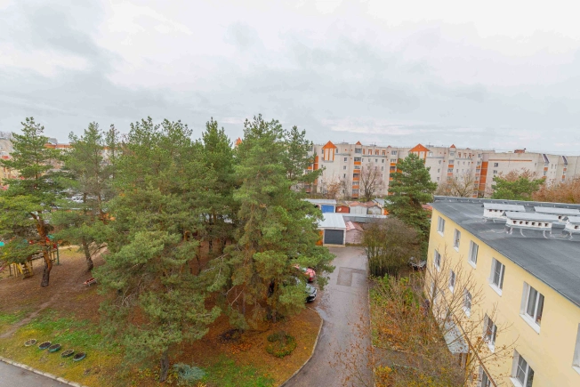 Купить квартиру на улице Судогодское шоссе в Владимире. Вариант № 8601434, 27, площадь -  квм, цена 7500000 рублей