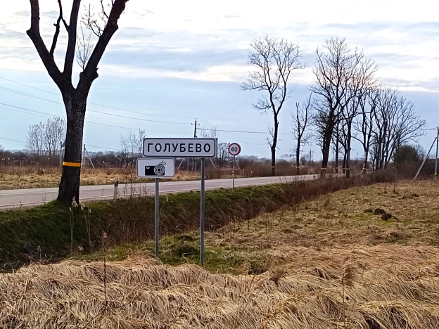 Купить земельный участок на улице Дзержинского в Калининграде. Вариант № 38048, 0, площадь -  квм, цена 600000 рублей