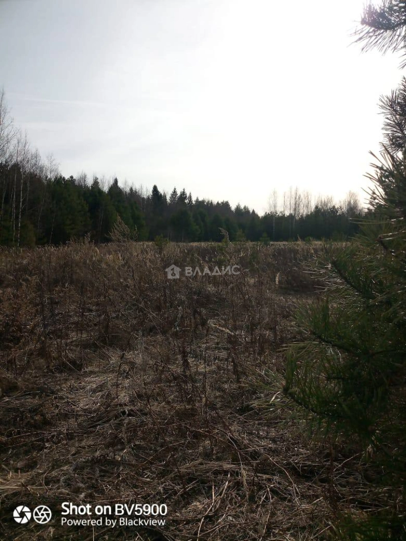 Photo https://36000382-a1c2-4a8a-a109-3fc3bfc73cf7.selcdn.net/App/Entity/ObjectRealty/ObjectRealty/UK/86573779-b2e3-48c7-bfd0-0944f4b00e92/dILmmZyx75ANCTQQDhSlBSBOrd3aaWQ0qU4p8jgr.jpg.compressed.webp