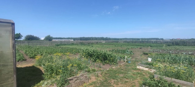 Купить дом в Новосибирске. Вариант № 56349, 35, площадь -  квм, цена 11500000 рублей