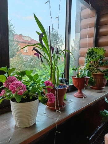 Купить дом в Тульской области. Вариант № 10134780, 36, площадь -  квм, цена 17000000 рублей