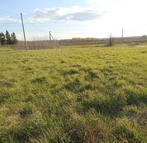 Купить земельный участок на улице Белые Ночи в Вологодской области. Вариант № 7432, 1, площадь -  квм, цена 320000 рублей