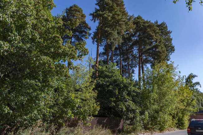 Купить дом в Москве. Вариант № 10974, 30, площадь - квм, цена 28500000 рублей