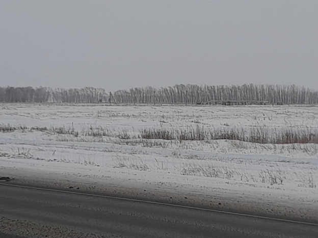 Купить земельный участок в Микрорайоне Московка-2 в Омске. Вариант № 4105, 17, площадь -  квм, цена 30000000 рублей