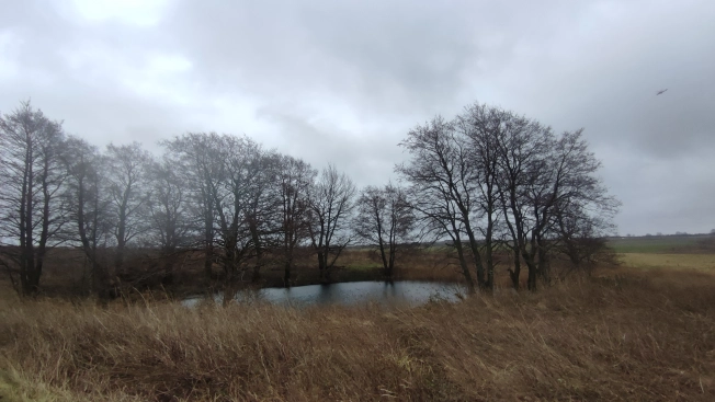 Купить земельный участок в Калининграде. Вариант № 4161, 6, площадь -  квм, цена 3900000 рублей