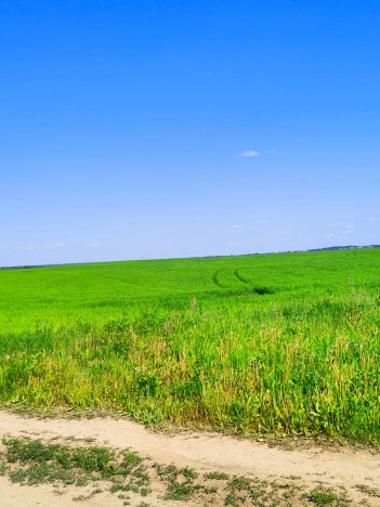 Купить земельный участок на улице Белые Ночи в Вологодской области. Вариант № 2332, 1, площадь -  квм, цена 5664000 рублей