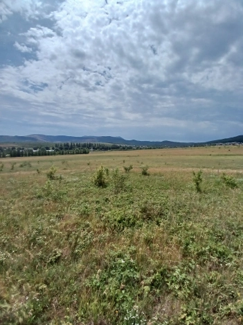 Купить земельный участок в Республике Крым. Вариант № 23864, 2, площадь -  квм, цена 2500000 рублей