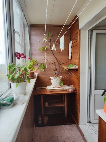 Купить двухкомнатную квартиру в Гороховеце. Вариант № 8635495, 18, площадь -  квм, цена 2400000 рублей