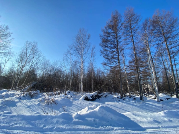 Купить земельный участок на улице Берёзовый переулок в Южно-Сахалинске. Вариант № 22485, 2, площадь - квм, цена 2000000 рублей