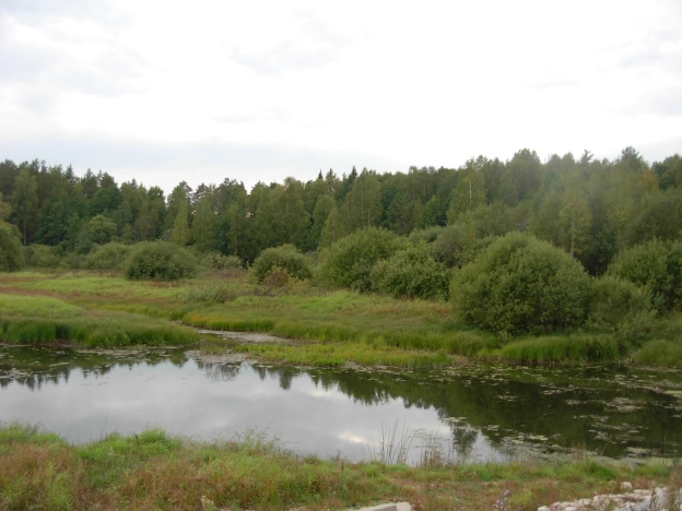 Купить земельный участок в Владимире. Вариант № 1457, 6, площадь -  квм, цена 155000 рублей