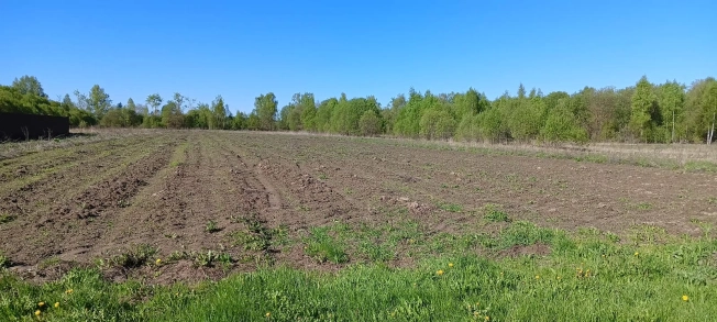 Купить земельный участок в Тульской области. Вариант № 6272, 1, площадь -  квм, цена 400000 рублей