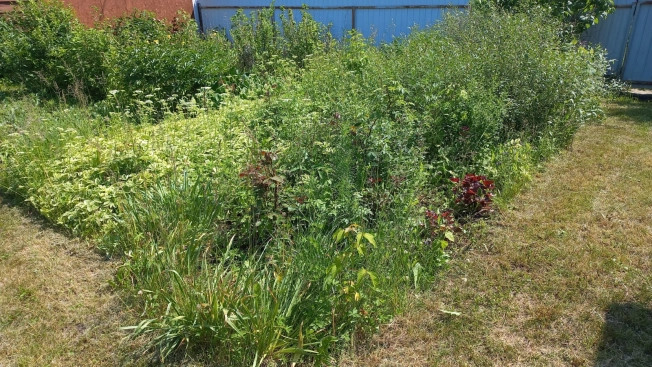 Купить земельный участок в Искитиме. Вариант № 19578, 10, площадь -  квм, цена 850000 рублей