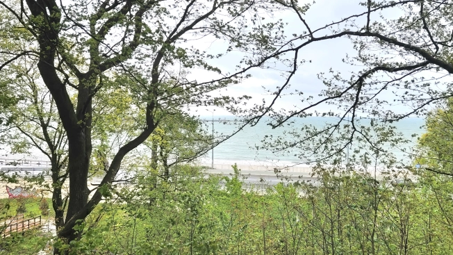 Купить квартиру в Пионерском. Вариант № 43409, 30, площадь -  квм, цена 6790000 рублей