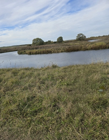 Купить земельный участок в Владимире. Вариант № 8532141, 3, площадь -  квм, цена 1070000 рублей