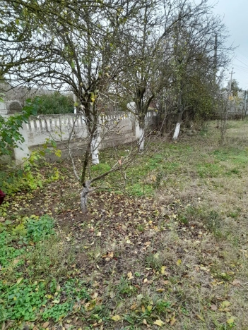 Купить земельный участок в Керчи. Вариант № 17219, 5, площадь -  квм, цена 1600000 рублей