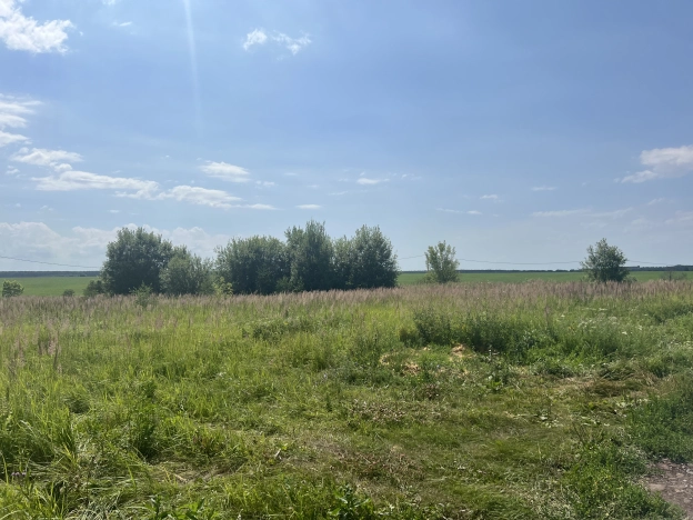 Купить земельный участок в Коломне. Вариант № 10019, 5, площадь -  квм, цена 350000 рублей