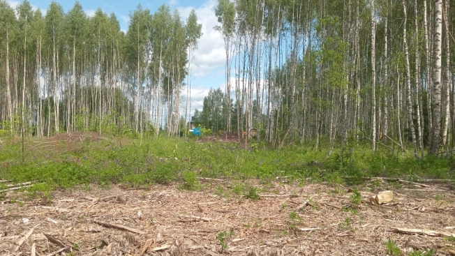 Купить земельный участок на улице 3-я Сорокинская в Владимире. Вариант № 48178, 1, площадь -  квм, цена 1100000 рублей