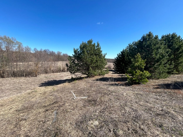 Купить земельный участок в Пензенской области. Вариант № 37107, 5, площадь -  квм, цена 9500000 рублей