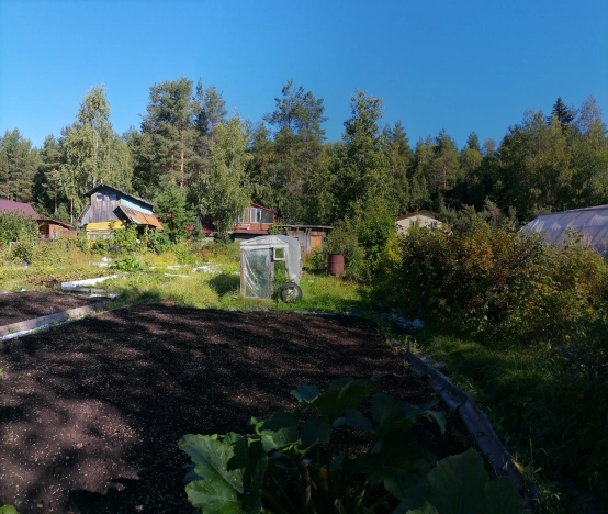 Купить земельный участок в Республике Коми. Вариант № 2839048, 8, площадь -  квм, цена 650000 рублей