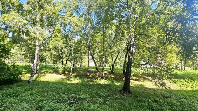 . Вариант № 33040, 12, площадь - 55.2 квм, цена 3990000 рублей