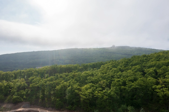 Купить однокомнатную квартиру в ЖК Посейдония в Владивостоке. Вариант № 4137353, 2, площадь -  квм, цена 7888400 рублей