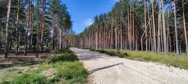 Купить земельный участок на улице Визитная в Владимире. Вариант № 2033, 0, площадь -  квм, цена 2475000 рублей